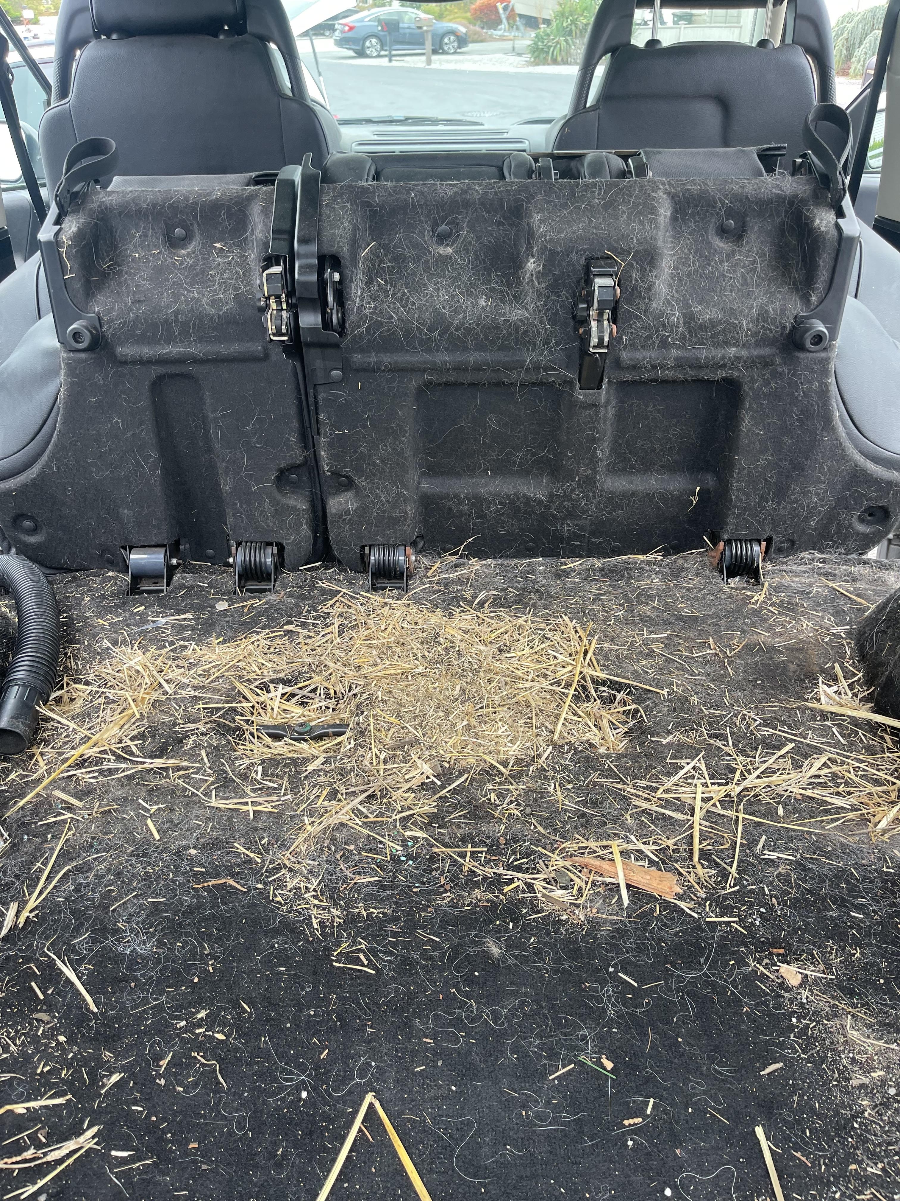 Trunk Space Transformation - Before